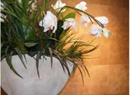 Lejlighedshotel Terra Vive Suites & Apartments Christchurch